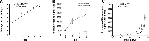 figure-results-3 figure-results-3