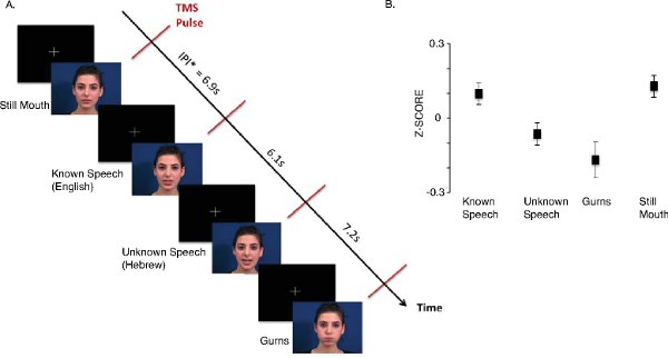 figure-results-3 Static equilibrium diagram with time-based TMS pulse in speech experiment; z-score data chart.