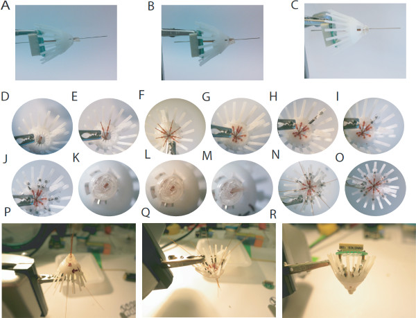 figure-results-3 Robotic assembly process, microscope images, illustrating mechanical grasping and manipulation techniques.