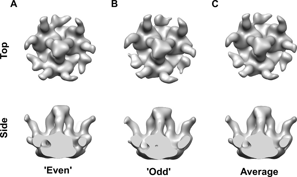 figure-results-4