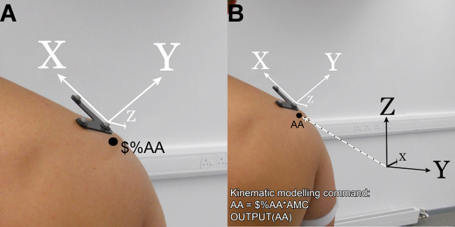 figure-results-2 Kinematic modeling diagram with XYZ axes on shoulder; shows AA command for 3D motion analysis.