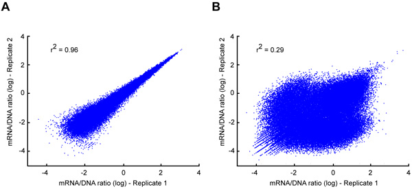 Scatter plots of mRNA/DNA ratio analysis; A shows high correlation (r²=0.96), B shows low (r²=0.29).