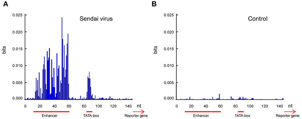 Sendai virus promoter activity vs control graph; data in bits vs nt; enhancer, TATA-box, gene.