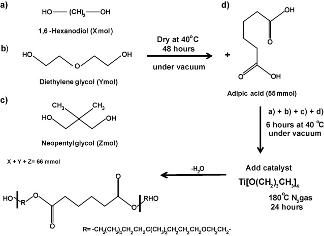 Polyester synthesis diagram with 1,6-hexanediol, diethylene glycol, neopentylglycol, adipic acid.