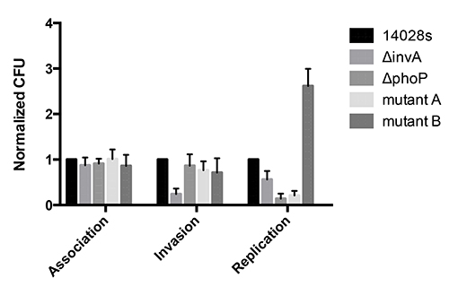 Bacterial replication bar chart; normalized CFU; association, invasion; mutant analysis.