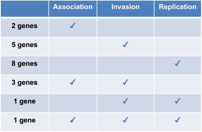 Gene process comparison chart; table showing gene counts in association, invasion, replication.