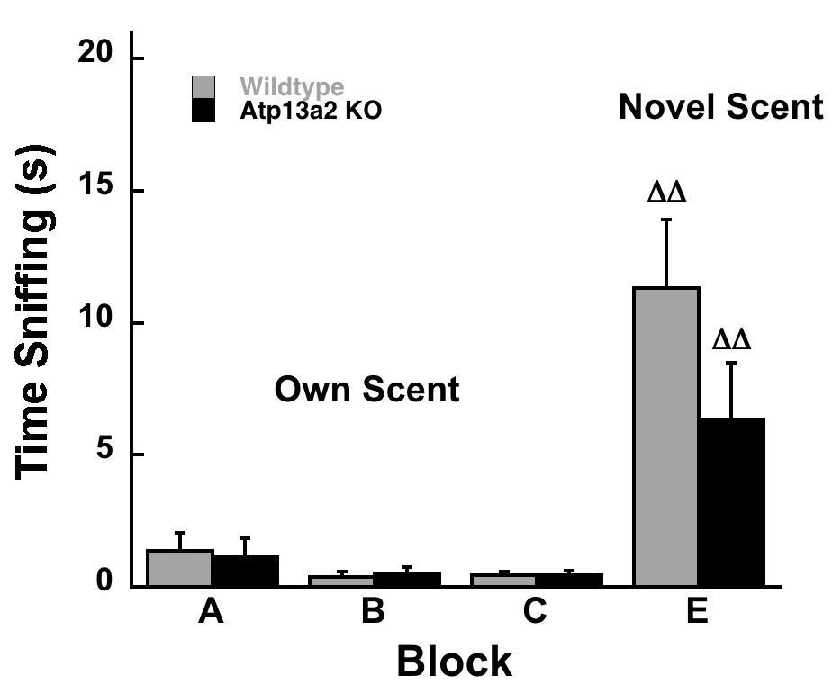 figure-results-2