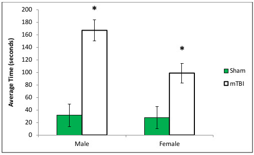 Average time bar graph showing male and female sham vs. mTBI results; neurobehavioral analysis.
