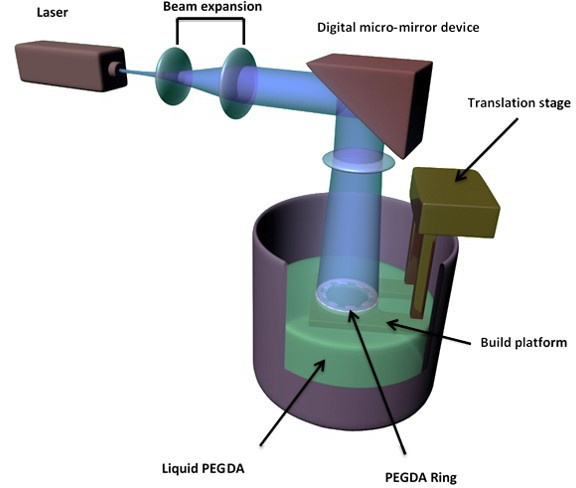 Stereolithography setup diagram with laser, beam expansion, DMD for 3D printing using PEGDA polymers.