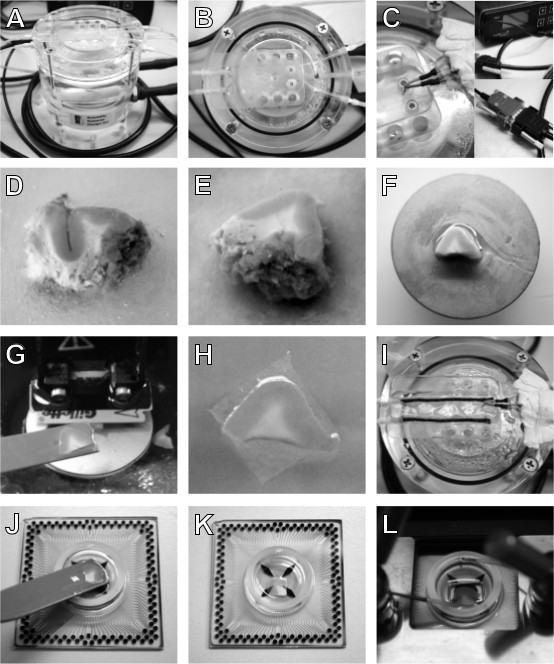 figure-results-2 Microfluidic device operation and sample preparation sequence; includes equipment setup, material testing.