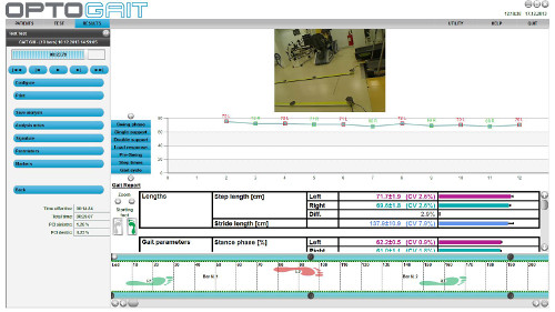 Gait analysis system data; graph of step and stride length; biomechanics study.