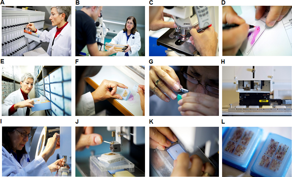 figure-results-2 A: Archival sample retrieval; specimen storage; laboratory organization.