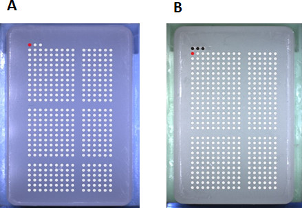 figure-results-6 Microplate assay results, diagram; high-throughput screening method, scientific research analysis.