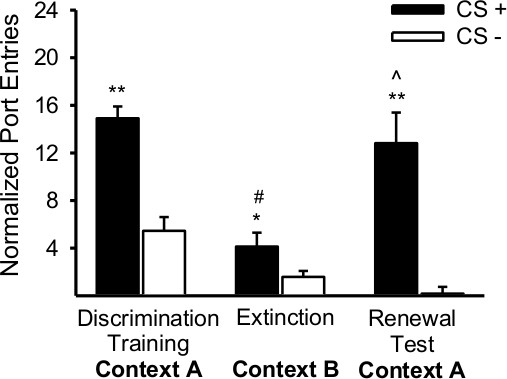 figure-results-4 Bar graph of normalized port entries in discrimination training, extinction, renewal test contexts.