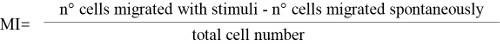 figure-protocol-1