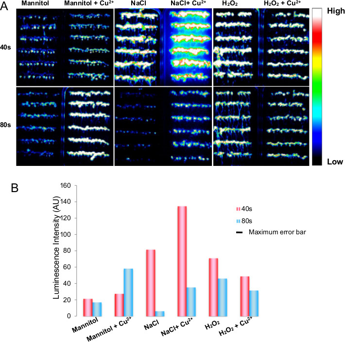 Luminescence comparison in NaCl, mannitol, and H2O2 with Cu2+, shown in heat map and bar graph.