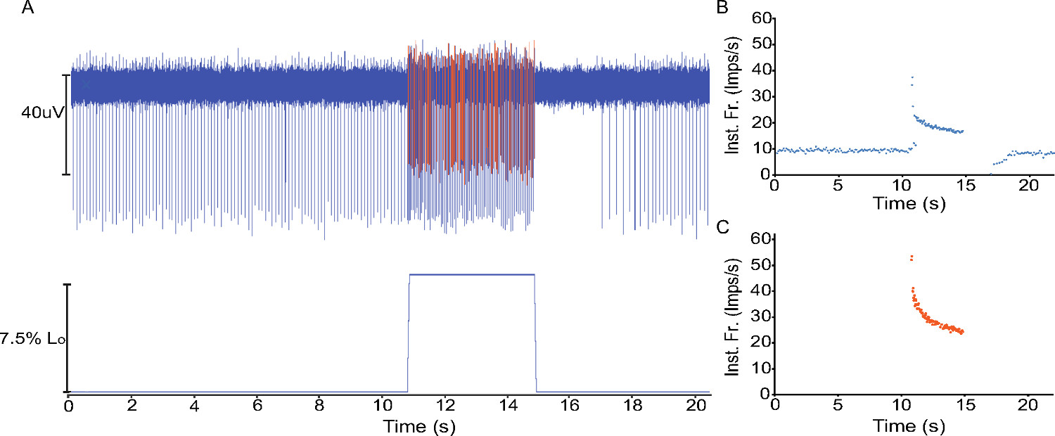figure-results-3 Neural signal analysis; electrophysiology data; graph showing µV over time, spike frequency chart.