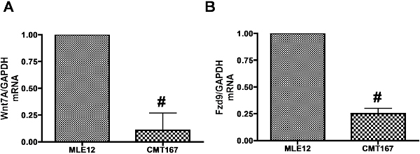Bar graph comparing Wnt7a and Fzd9 mRNA levels in MLE12 and CMT167 cells for gene expression analysis.