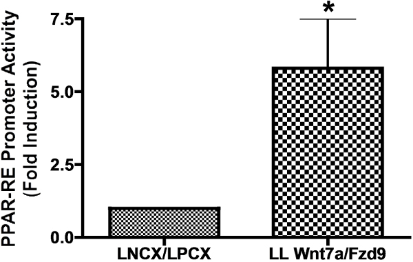 Bar chart of PPAR-RE promoter activity; LL Wnt7a/Fzd9 expression effect; statistical increase.