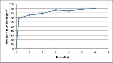Microcarrier colonization graph over time, showing percentage increase from day 0 to day 6.