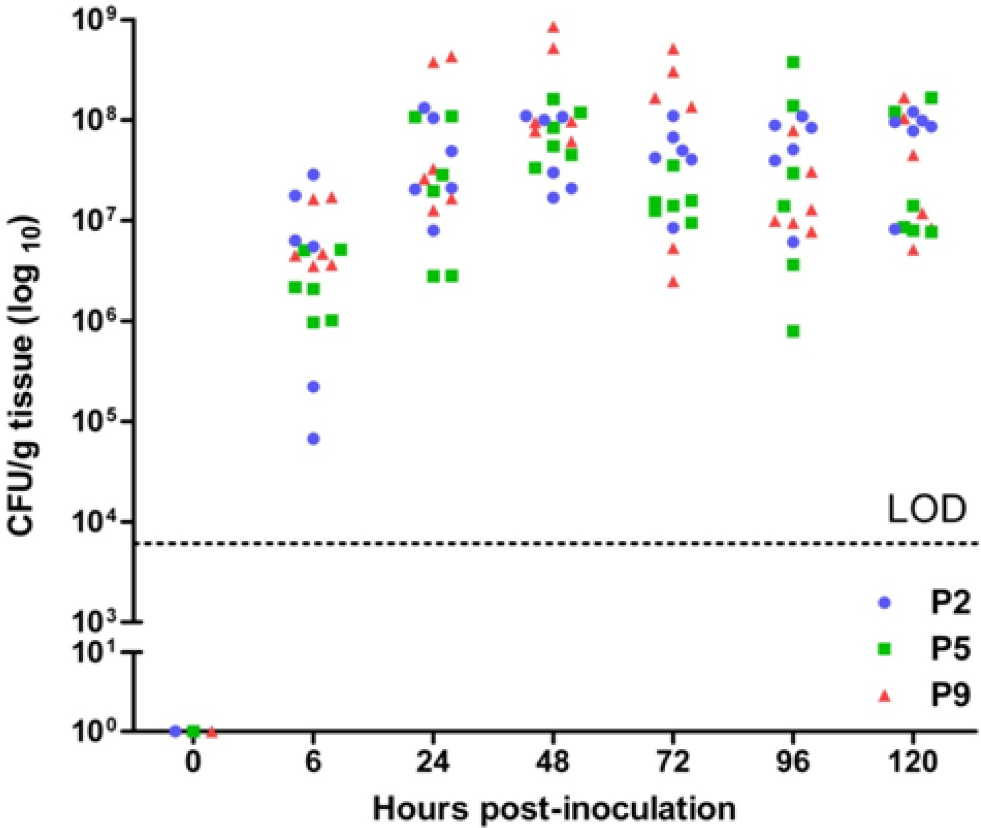 figure-results-5 Bacterial growth kinetics graph, CFU/g vs. time, three strains, post-inoculation analysis.