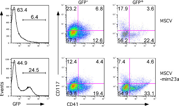 figure-results-3 Flow cytometry analysis diagram, GFP and CD117/CD41 expression comparison in cell populations.