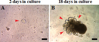 figure-results-1