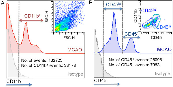 figure-results-5 Flow cytometry results showing CD11b and CD45 markers in MCAO; dot plot and histogram analysis.