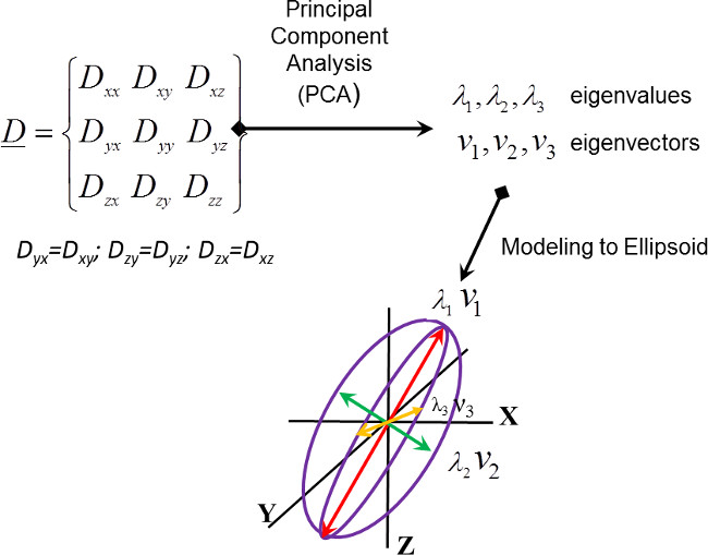 Principal Component Analysis (PCA) diagram with matrix, eigenvalues, eigenvectors, ellipsoid model.