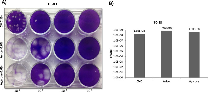 figure-results-3 Virus plaque assay results on CMC, Avicel, Agarose; bar chart analysis, TC-83 concentration.