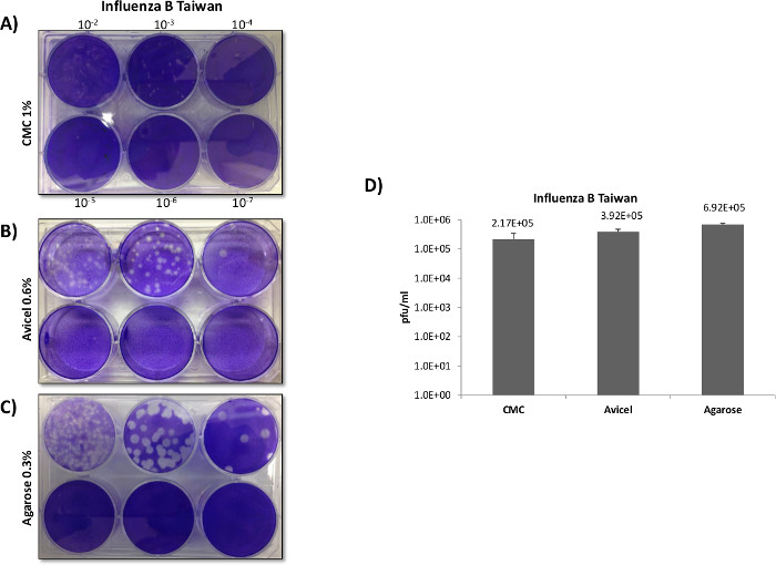 figure-results-5 Influenza B assays in wells; CMC, Avicel, Agarose media; virus growth rates; bar graph comparison.