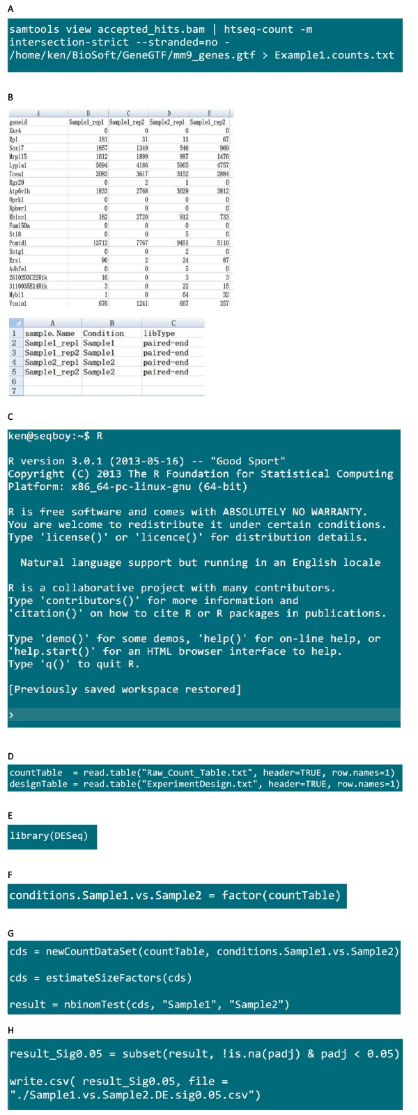 RNA-Seq data analysis workflow; code snippet, table setup, DESeq usage, R programming context.
