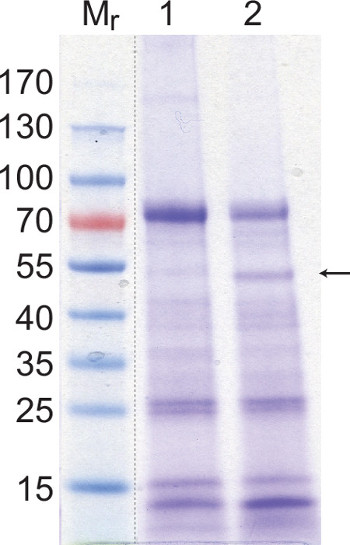 figure-results-3