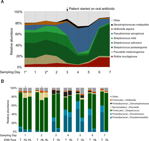 figure-results-4 Antibiotic impact on oral microbiota; stacked area/bar charts showing bacterial abundance over time.
