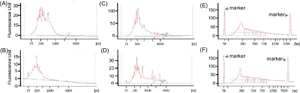 figure-results-5 Fluorescence spectra diagrams for nucleic acid analysis, highlighting markers and data trends.