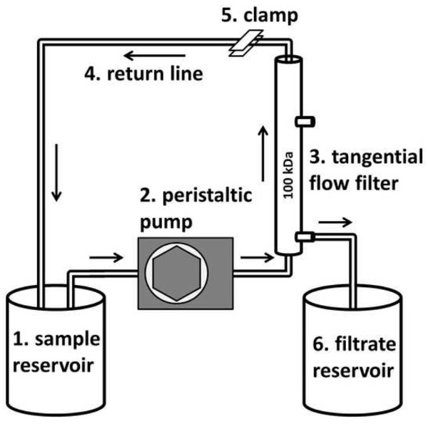figure-results-3 Tangential flow filtration diagram with peristaltic pump and flow filter for protein purification.