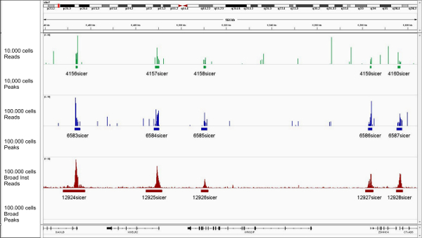 figure-results-5