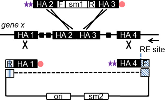 figure-results-2 figure-results-2