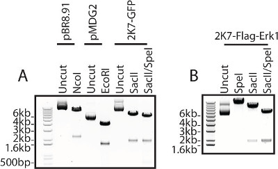 figure-results-1