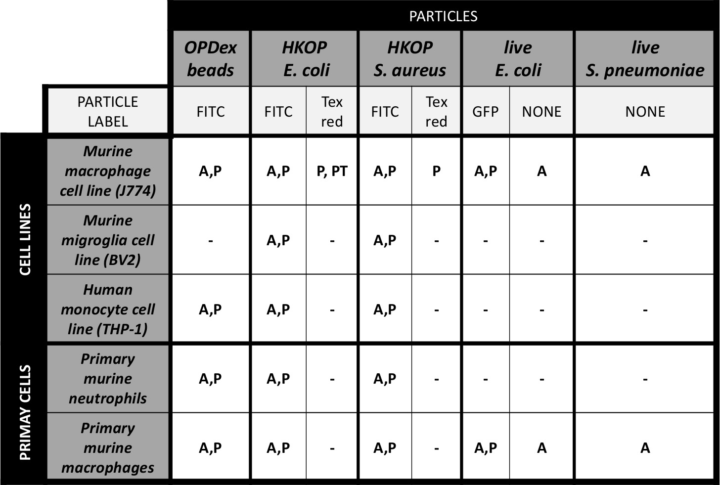 figure-protocol-2 Cell interaction responses chart; labels: OPDex beads, E. coli, S. aureus; analysis: FITC, GFP.
