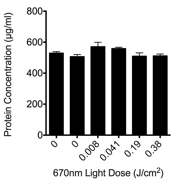figure-results-1 Protein concentration vs. 670nm light dose graph; bar chart showing experimental results.