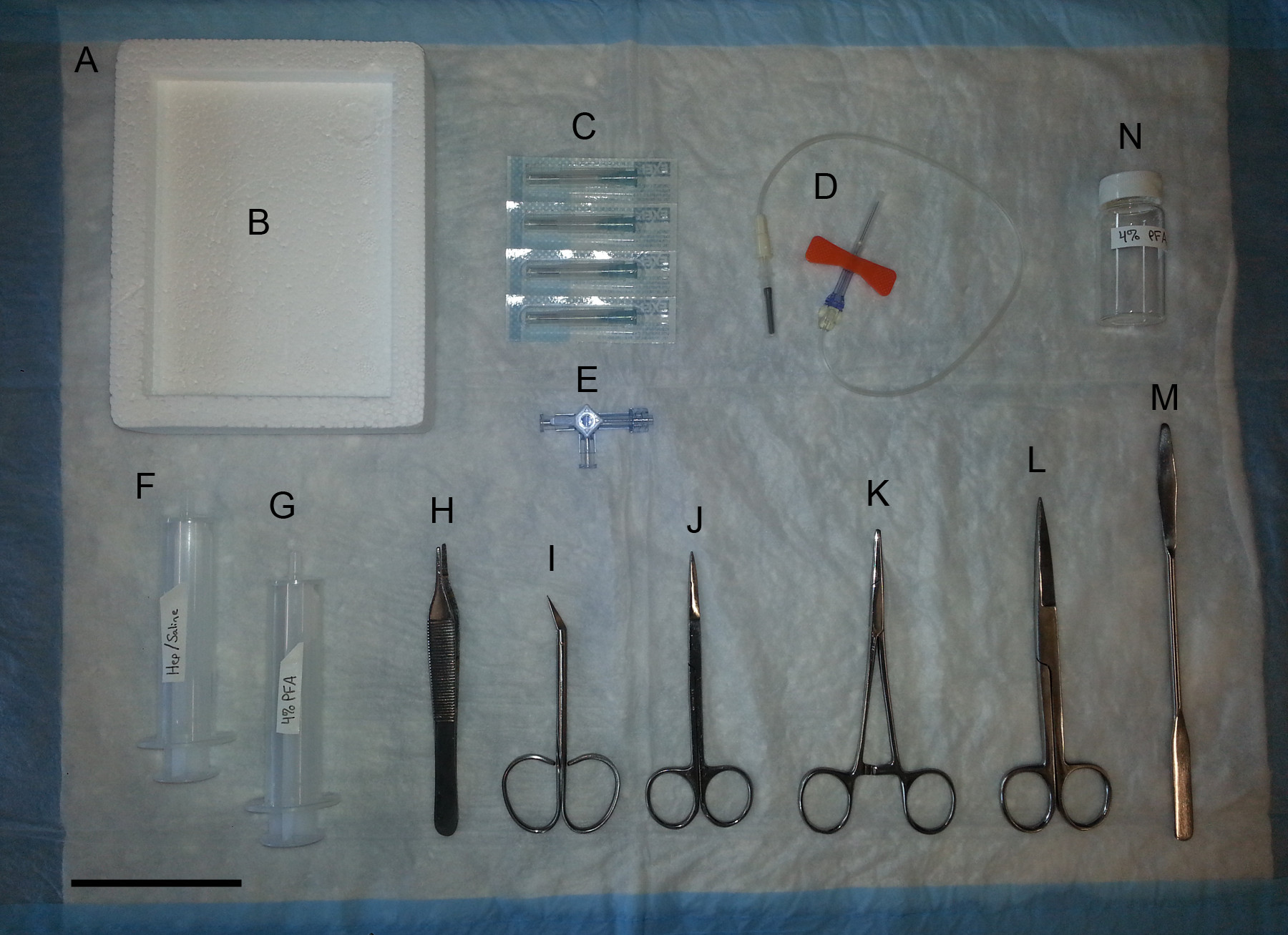 Surgical instrument setup for dissection, includes tweezers, scissors, tray, and syringes.