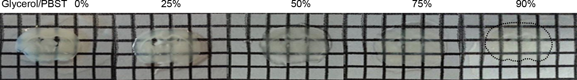 Glycerol/PBST concentration effects on droplet opacity, 0-90% in grid, experimental results.