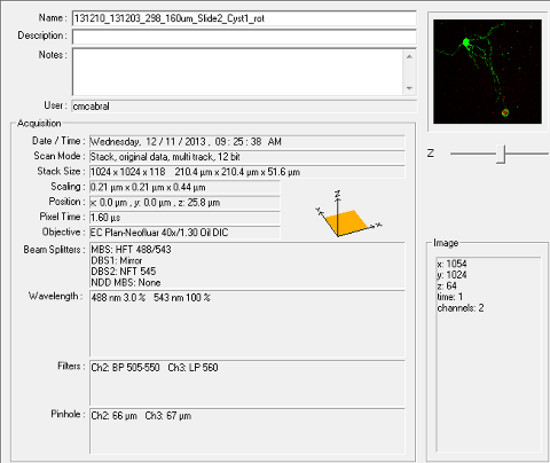Confocal microscopy setup for fluorescent imaging; data acquisition parameters shown.