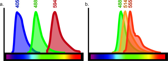 figure-discussion-1 荧光激发光谱图;光子研究,光谱发射分析。