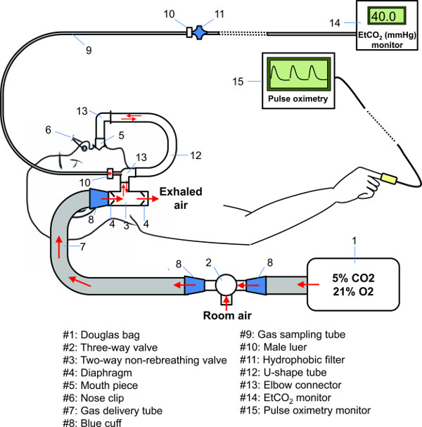 figure-results-1