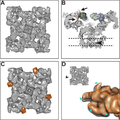 figure-results-4