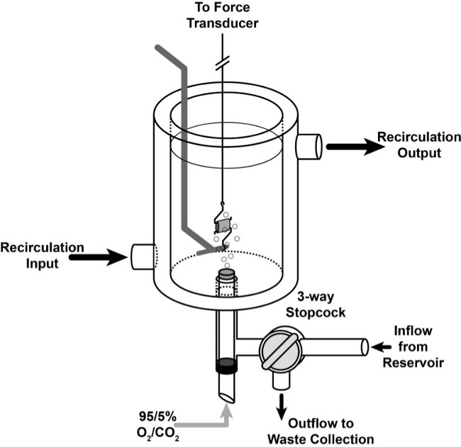 figure-results-1 Static equilibrium setup, force transducer diagram, experimental recirculation system.