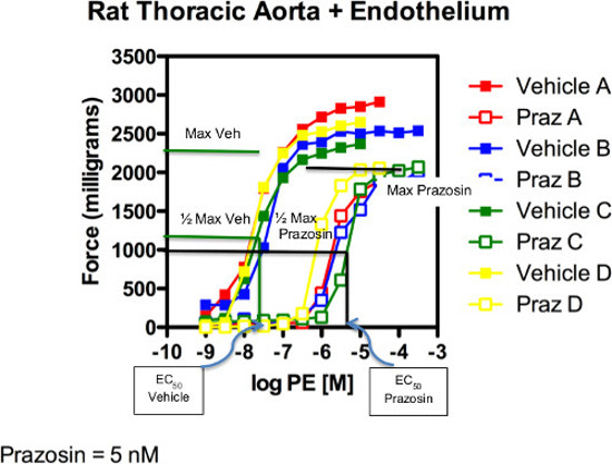figure-results-3 Rat thoracic aorta force-log PE graph, prazosin effect, vascular response analysis, EC50 comparison.