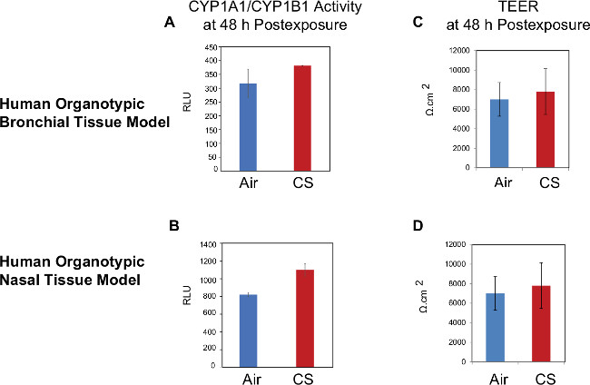 Human organotypic tissue models; CYP1A1/CYP1B1 activity, TEER post-exposure bar charts.